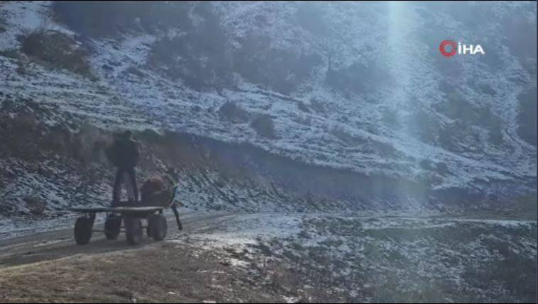 Burası Antartika değil Bitlis! Eksi 15 derecede atlarla kaplıca keyfi - Resim: 13